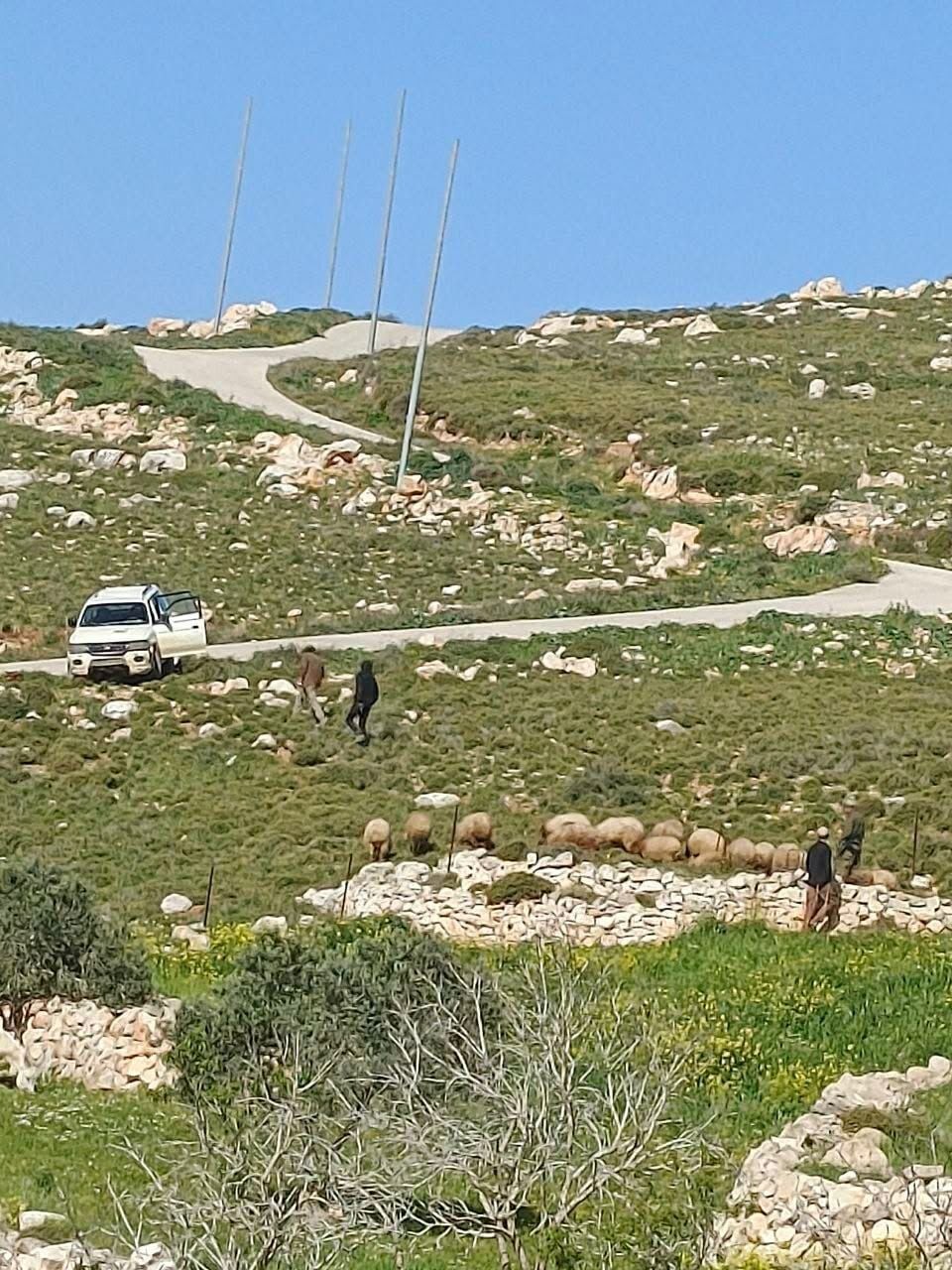 اعتداء مستوطنين في بيت امرين (1).jpg