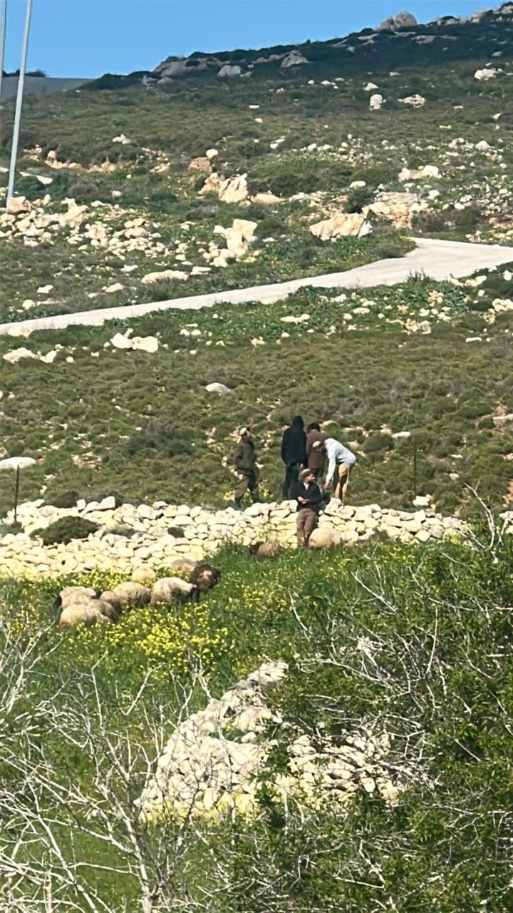 اعتداء مستوطنين في بيت امرين (3).jpg