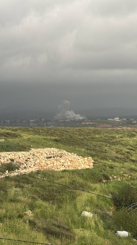 زوطر.png