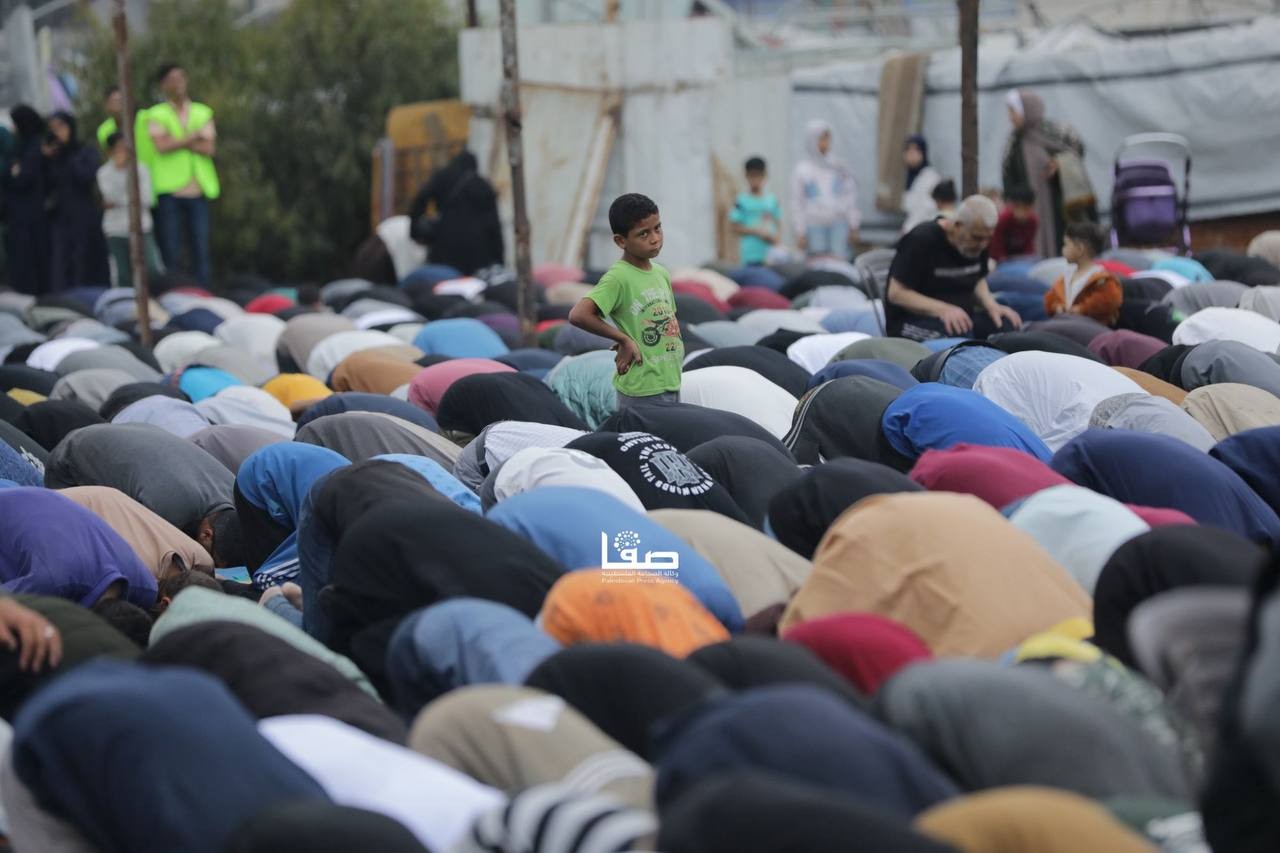 السرايا2.jpg