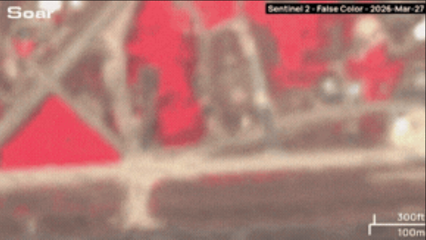 image (1) (1).png