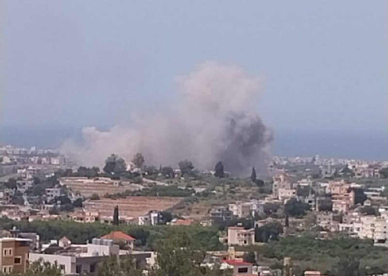 طيردب.jpg