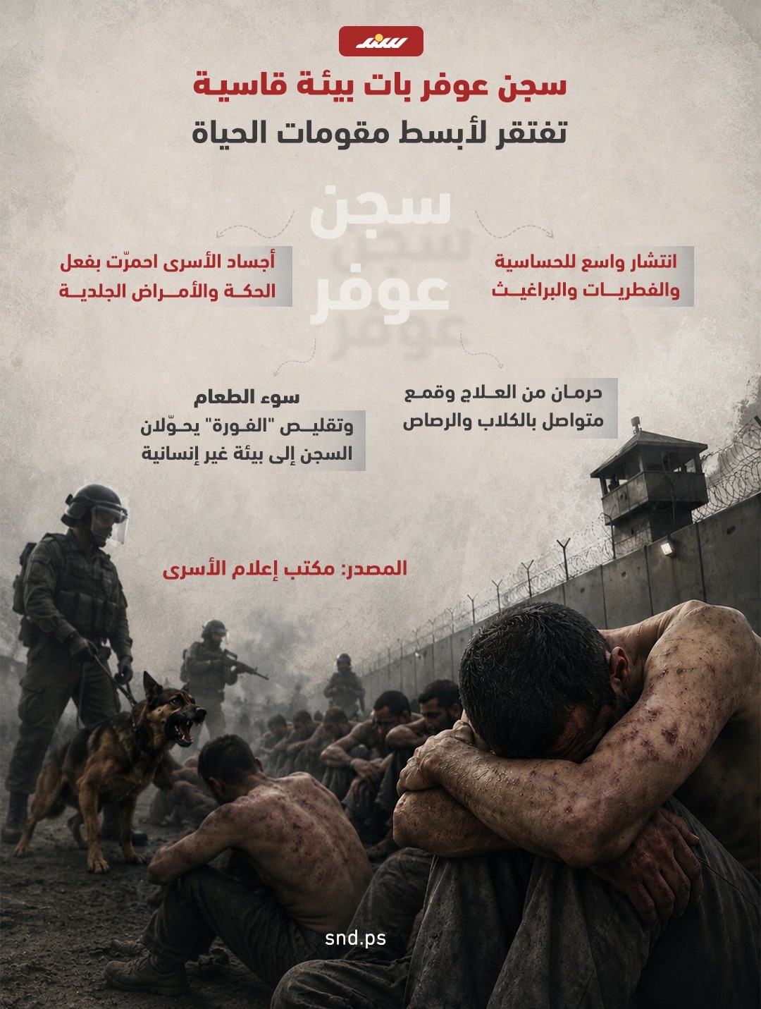 عوفر.jpg